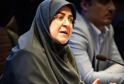 مهاجرانی: در لایحه مشاغل حساس ابهاماتی در واژگان وجود داشت/ جمع‌بندی دولت این بود که این لایحه مسترد شود