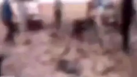 ببینید| «دیوانه کویر» که بود و چگونه به هلاکت رسید؟