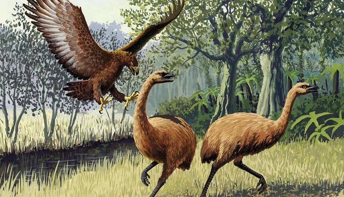 مخوف‌ترین عقاب تاریخ که انسان را هم شکار کرد