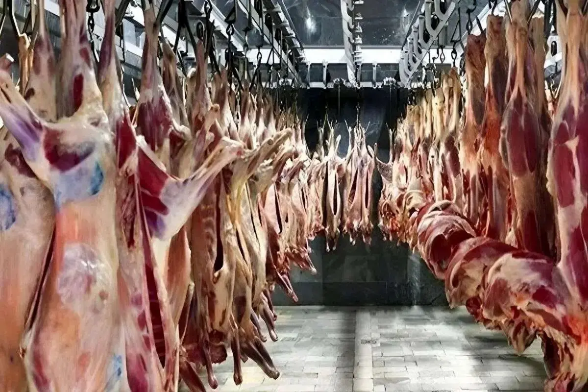 قيمت،تومان،بازار،گوشت،هفته،درصد،مرغ،كشاورزي،عرضه،جهاد،اعلام، ...