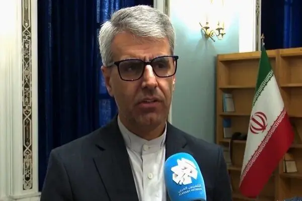 بقائی: حمله آمریکا و اسرائیل  به ایران خیانت به دیپلماسی بود/ این حمله برای جامعه جهانی هزینه‌آور بود