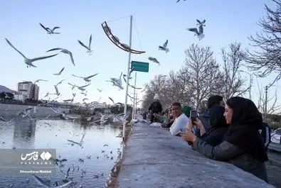 شیرازگردی مهمانان روسی