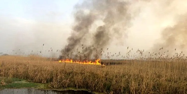 آتش‌سوزی گسترده در تالاب هویزه عراق؛ دود آتش در حال حرکت به سمت خوزستان است + تصویر