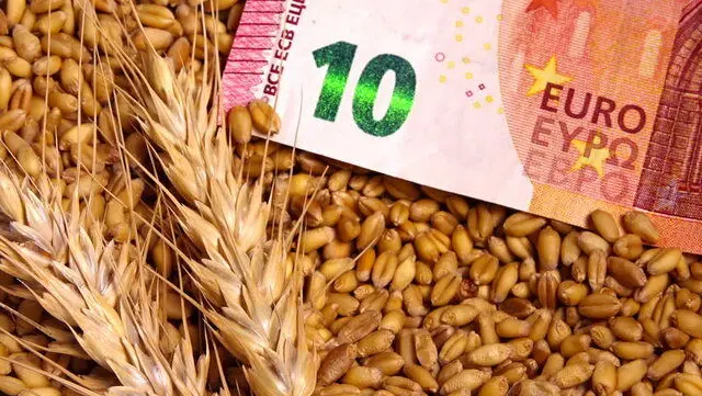 تب قیمت های جهانی بالا گرفت/رشد 17 دلاری قیمت گندم در یک روز