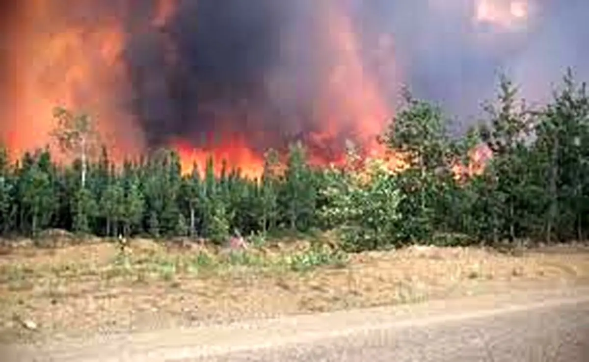 ویدئو|  دودِ آتش‌سوزی‌های جنگلیِ کانادا به نروژ هم رسید