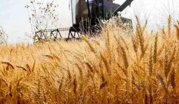 طرح دو فوریتی مجلس برای تضمین امنیت غذایی در دوره جنگ آماده شده است/ برنامه‌ریزی کردیم در حمله بعدی صهیونیست‌ها، تنگه هرمز و خلیج‌فارس را ببندیم + ویدیو