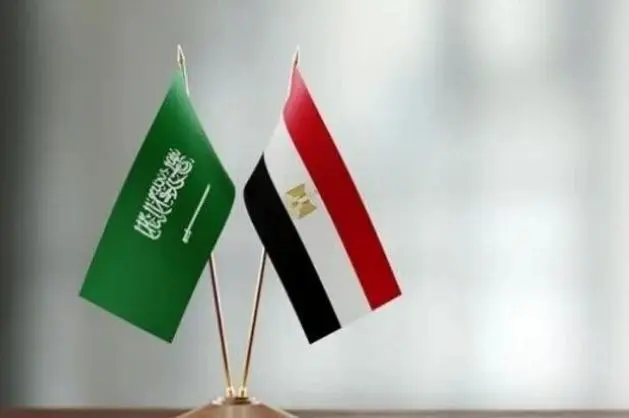 مصر،عربستان،تأكيد،خارجه،سعودي