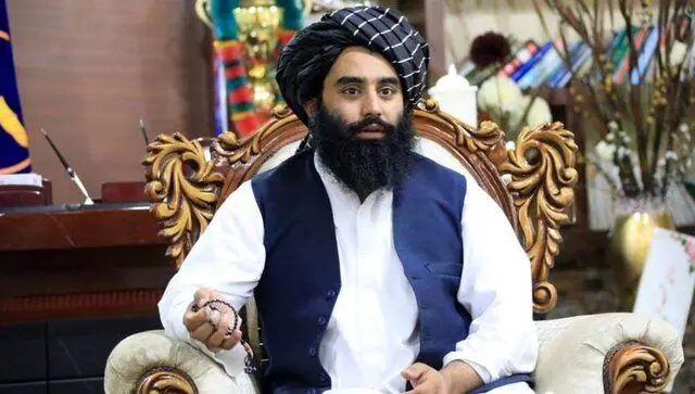 اسلامي،ايران،امارت،افغانستان،جمهوري،اتباع،غيرقانوني،تضمين،ور ...