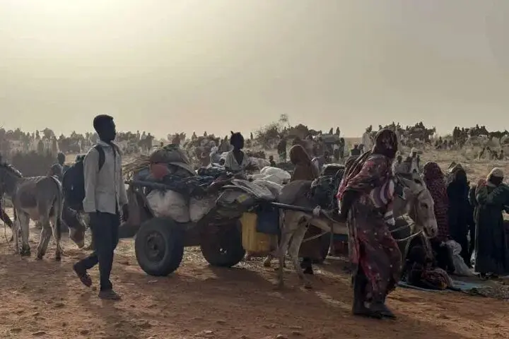 نيروهاي،شهر،واكنش،سودان،سريع،جنايات،ارتش،مشترك،نفر،دارفور،غي ...